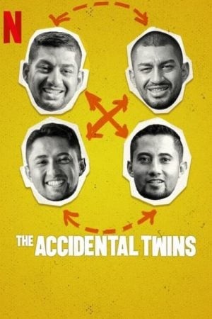 The Accidental Twins ฝาแฝดบังเอิญ
